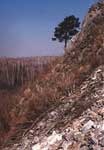       . Rock dryied slope near the exit to the cave.