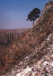       . Rock dryied slope near the exit to the cave.